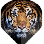 Harley Davidson Flights ~ Harley Davidson with Pink Flames